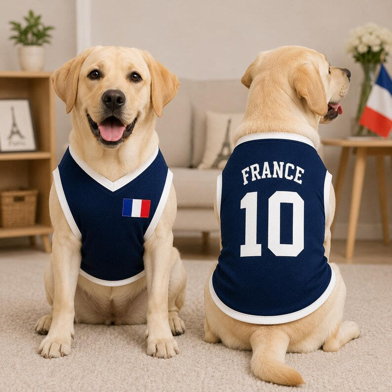 Personalized France Dog Soccer Jersey, Custom Pet Football Shirt, France Fan Dog Outfit, Pet Team Jersey, French Dog Apparel Gift
