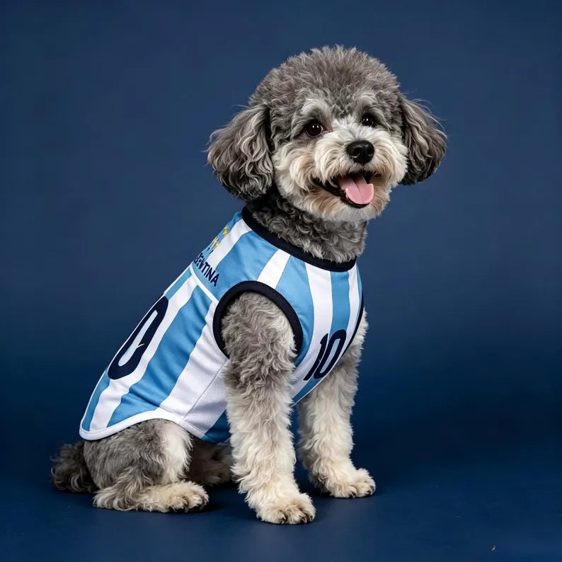 Personalized Argentina Dog Jersey, Custom Pet Soccer Shirt, Argentina Football Dog Outfit, Pet Team Jersey, Argentina Fan Gift
