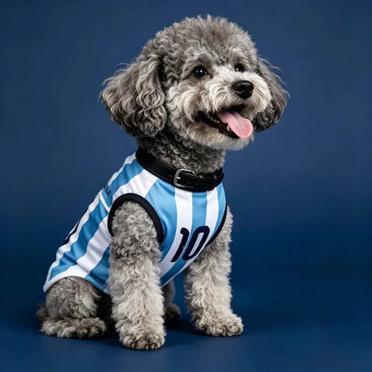 Personalized Argentina Dog Jersey, Custom Pet Soccer Shirt, Argentina Football Dog Outfit, Pet Team Jersey, Argentina Fan Gift