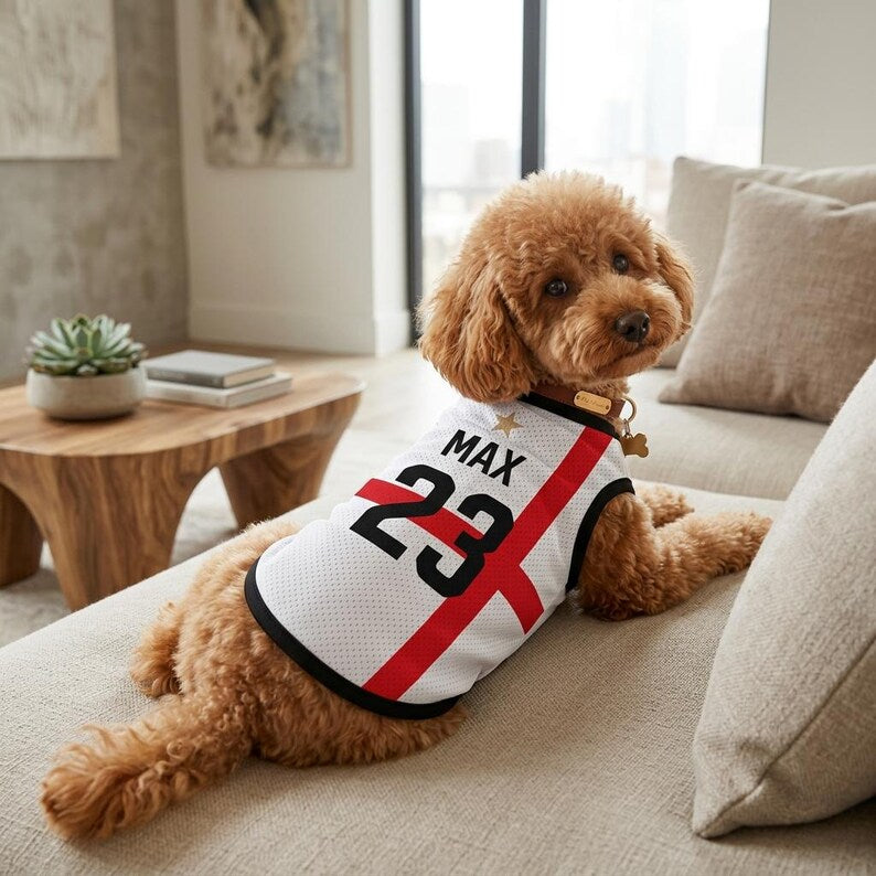 Pet Soccer England Jersey, Team Dog Shirt, Game Day Outfit for Dogs, Football Cat Clothes, Custom Name Number Puppy Football Jersey