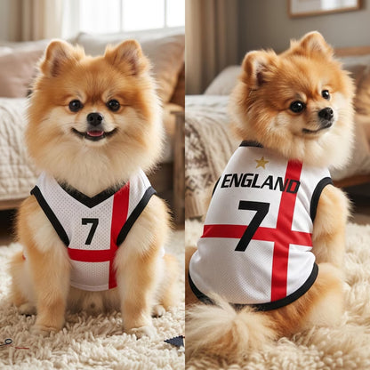 Pet Soccer England Jersey, Team Dog Shirt, Game Day Outfit for Dogs, Football Cat Clothes, Custom Name Number Puppy Football Jersey