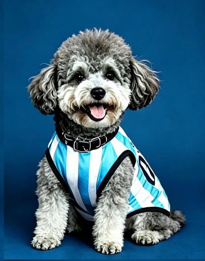 Personalized Argentina Dog Jersey, Custom Pet Soccer Shirt, Argentina Football Dog Outfit, Pet Team Jersey, Argentina Fan Gift