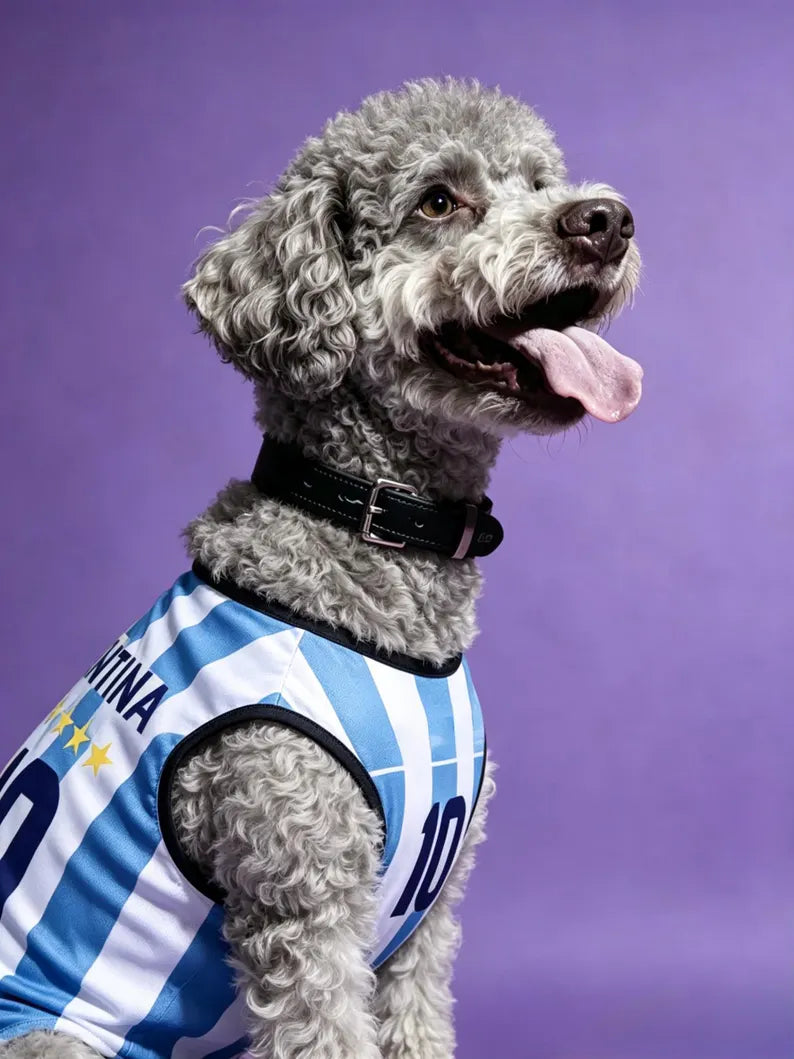 Personalized Argentina Dog Jersey, Custom Pet Soccer Shirt, Argentina Football Dog Outfit, Pet Team Jersey, Argentina Fan Gift