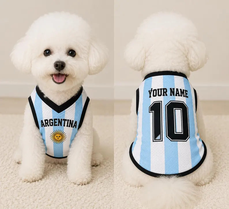 Personalized Argentina Dog Jersey, Custom Pet Soccer Shirt, Argentina Football Dog Outfit, Pet Team Jersey, Argentina Fan Gift
