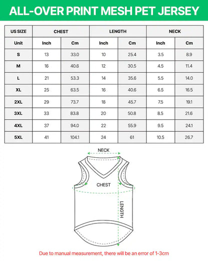 Pet Soccer England Jersey, Team Dog Shirt, Game Day Outfit for Dogs, Football Cat Clothes, Custom Name Number Puppy Football Jersey