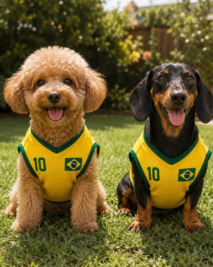 Pet Soccer Brazil Jersey, Team Dog Shirt, Game Day Outfit for Dogs, Brazil Baby Bodysuit, Custom Name Number Shirt
