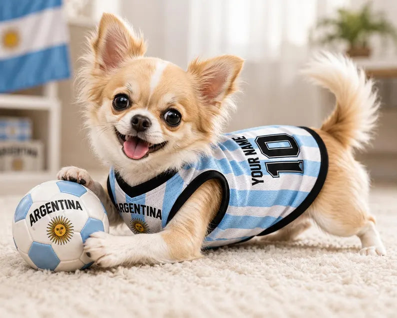 Personalized Argentina Dog Jersey, Custom Pet Soccer Shirt, Argentina Football Dog Outfit, Pet Team Jersey, Argentina Fan Gift