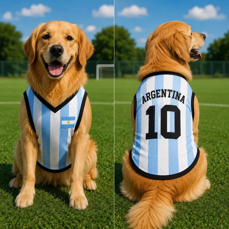 Personalized Argentina Dog Jersey, Custom Pet Soccer Shirt, Argentina Football Dog Outfit, Pet Team Jersey, Argentina Fan Gift
