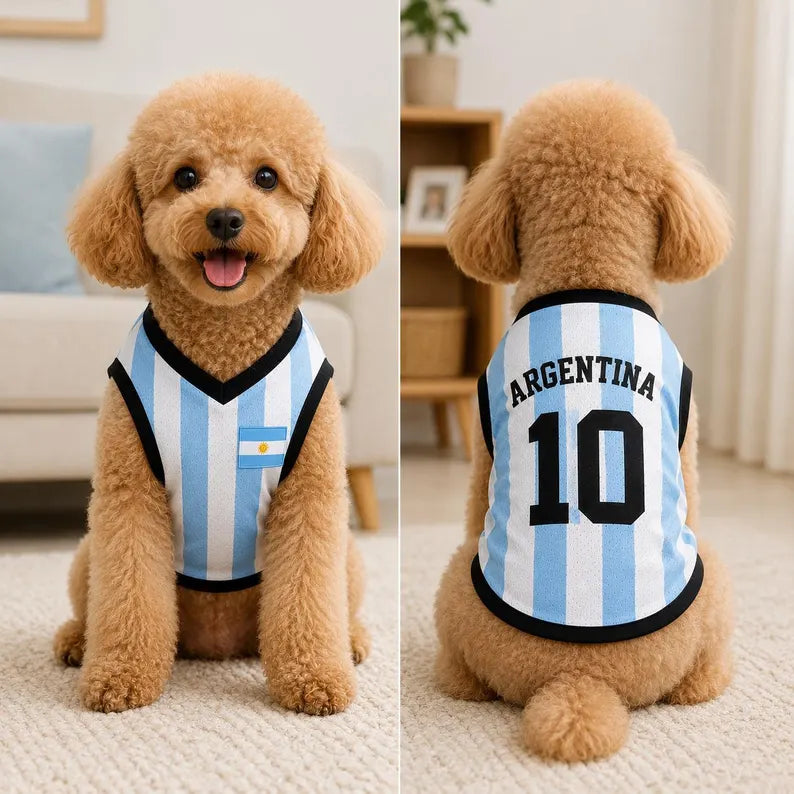 Personalized Argentina Dog Jersey, Custom Pet Soccer Shirt, Argentina Football Dog Outfit, Pet Team Jersey, Argentina Fan Gift