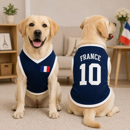 Personalized France Dog Soccer Jersey, Custom Pet Football Shirt, France Fan Dog Outfit, Pet Team Jersey, French Dog Apparel Gift